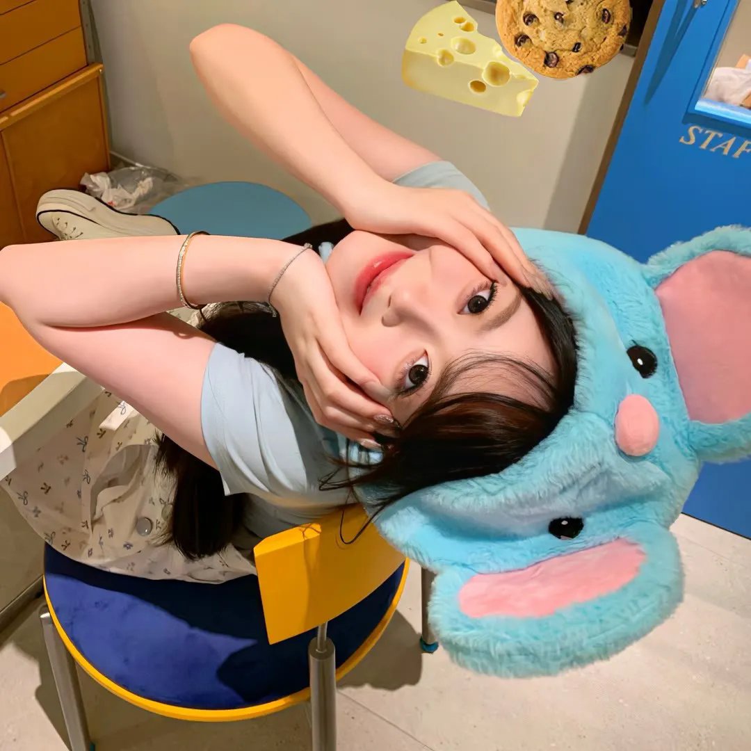 万紫千红花弄蝶